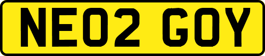 NE02GOY