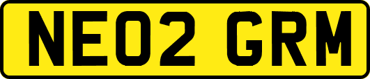 NE02GRM