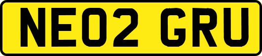 NE02GRU