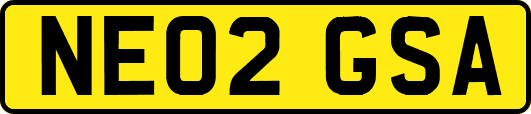 NE02GSA