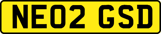 NE02GSD