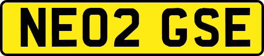 NE02GSE