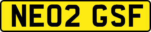 NE02GSF