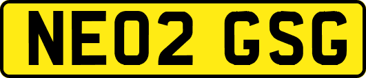 NE02GSG