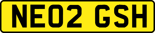 NE02GSH