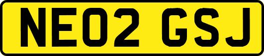 NE02GSJ