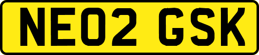 NE02GSK