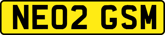 NE02GSM