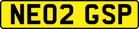 NE02GSP