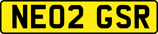 NE02GSR