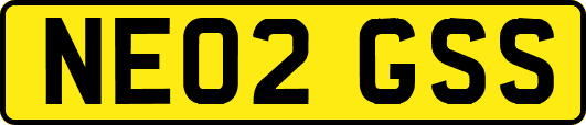 NE02GSS