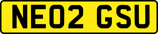 NE02GSU