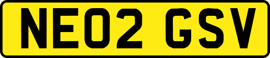 NE02GSV