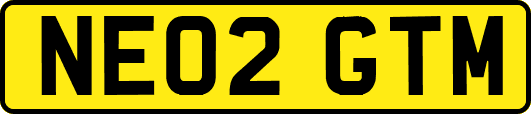 NE02GTM