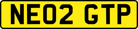NE02GTP