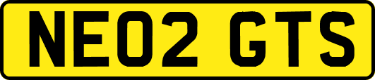 NE02GTS