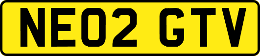 NE02GTV