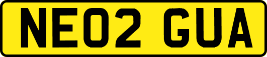 NE02GUA
