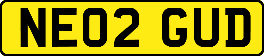 NE02GUD