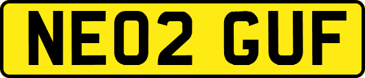 NE02GUF