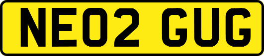 NE02GUG