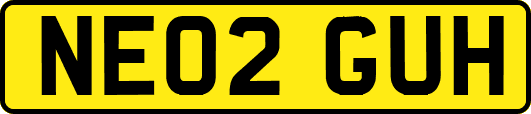 NE02GUH
