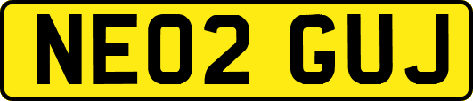 NE02GUJ