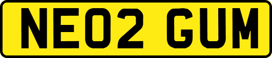 NE02GUM