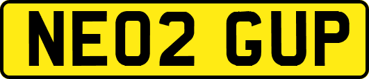 NE02GUP