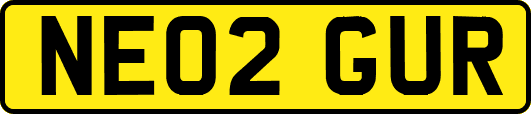 NE02GUR