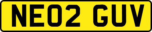 NE02GUV
