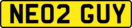 NE02GUY
