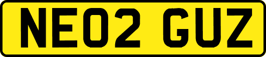 NE02GUZ