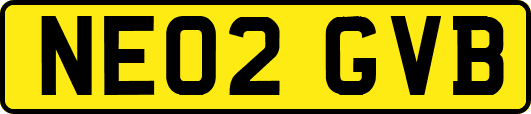 NE02GVB