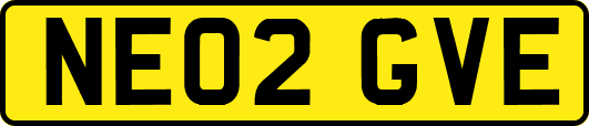 NE02GVE