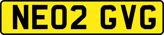 NE02GVG