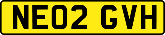 NE02GVH