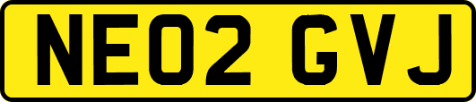 NE02GVJ