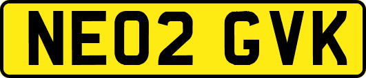 NE02GVK