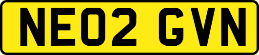 NE02GVN