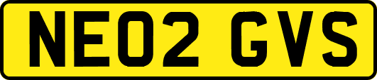 NE02GVS