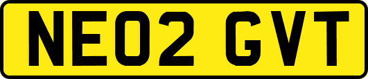 NE02GVT