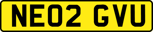 NE02GVU