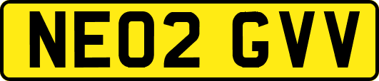NE02GVV