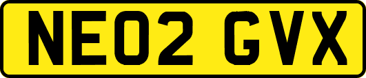 NE02GVX