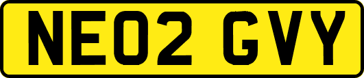 NE02GVY