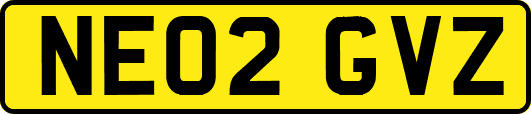 NE02GVZ