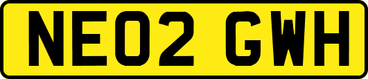 NE02GWH
