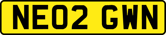 NE02GWN