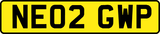 NE02GWP